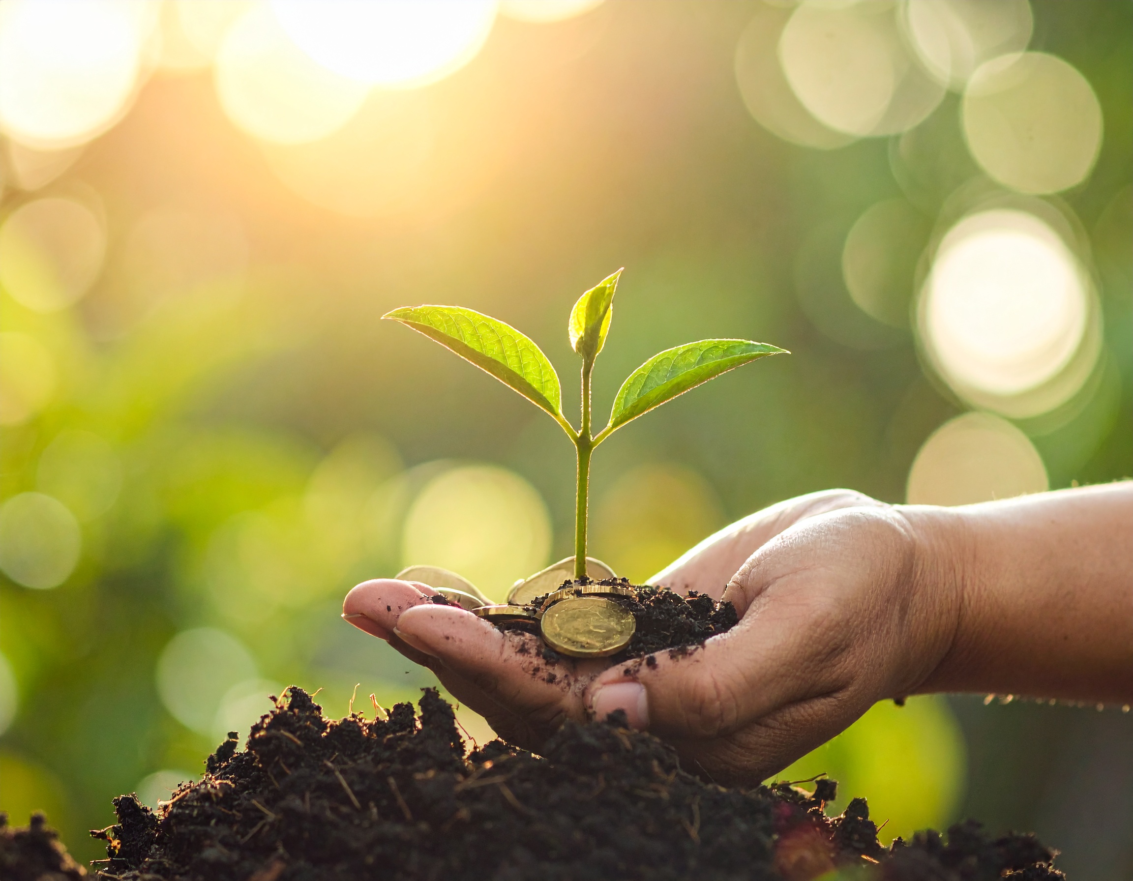 Faith and finance journaling